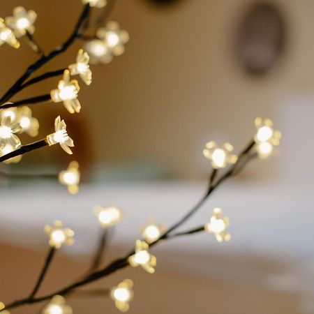Apartman Dobre Rano Banská Štiavnica 外观 照片