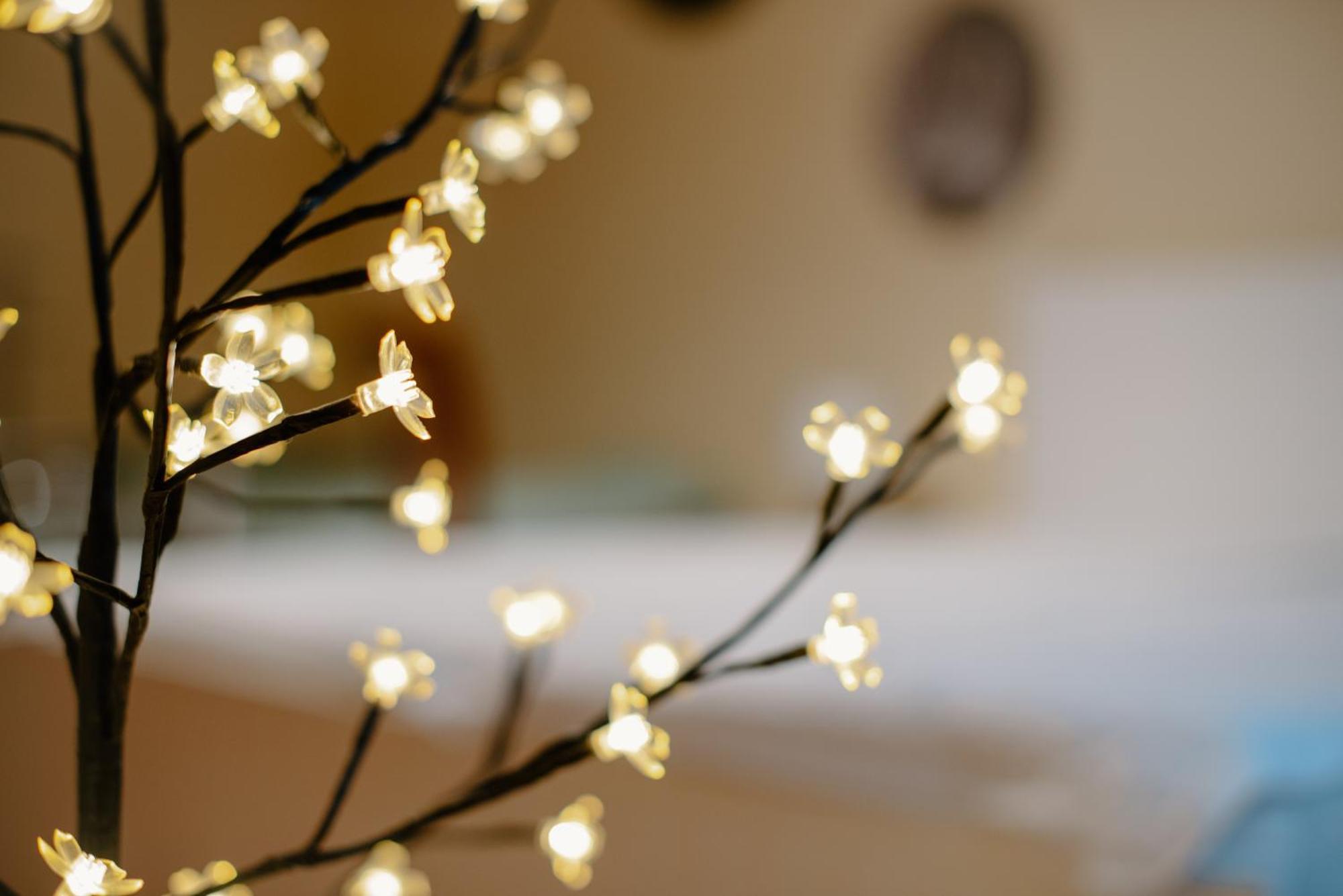 Apartman Dobre Rano Banská Štiavnica 外观 照片